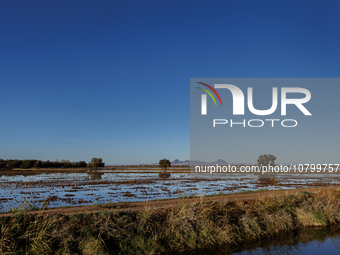 The sun rises over flooded California rice fields, during a storm break brought on by an atmospheric river near Marysville, Calif., on Sunda...