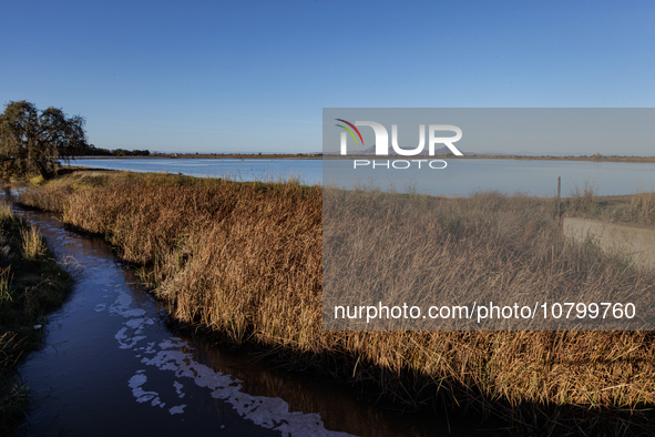 The sun rises over flooded California rice fields, during a storm break brought on by an atmospheric river near Marysville, Calif., on Sunda...