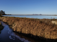 The sun rises over flooded California rice fields, during a storm break brought on by an atmospheric river near Marysville, Calif., on Sunda...