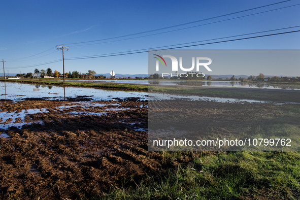 The sun rises over flooded California rice fields, during a storm break brought on by an atmospheric river near Marysville, Calif., on Sunda...