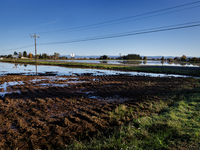 The sun rises over flooded California rice fields, during a storm break brought on by an atmospheric river near Marysville, Calif., on Sunda...