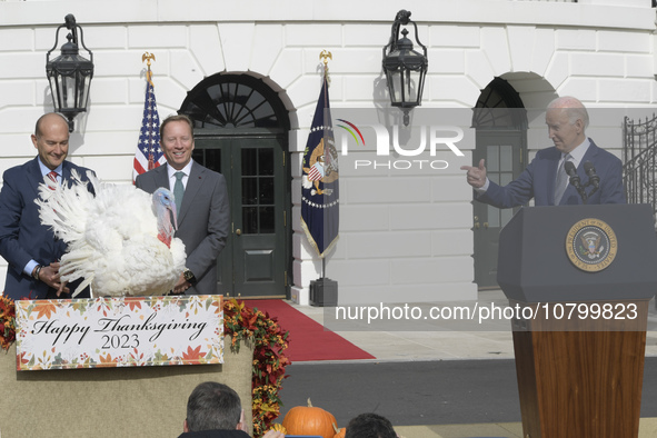 US President Joe Biden pardons turkey called Liberty celebriting the National Thanksgiving 2023 during a ceremony, today on November 20, 202...