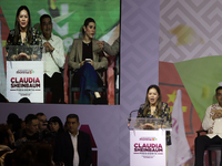 Karen Castrejon, the president of the Green Party, is attending the registration event of the sole candidate for the presidency of Mexico, C...