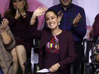 Claudia Sheinbaum Pardo is receiving the registration as the sole pre-candidate for the presidency of Mexico by the National Regeneration Mo...