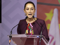 Claudia Sheinbaum Pardo receives the registration of sole pre-candidate for the presidency of Mexico by the National Regeneration Movement p...