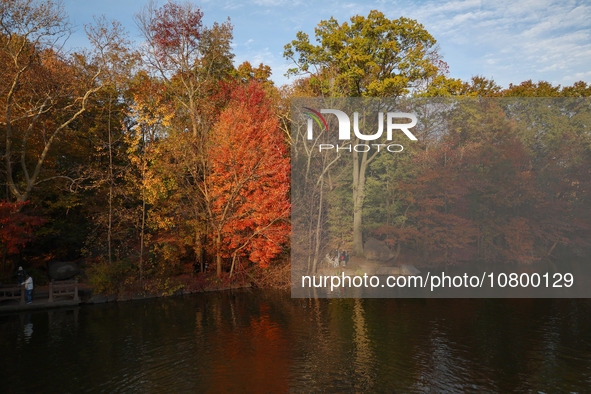 People are enjoying a boat ride on The Lake amidst the autumn leaves in Central Park, taking pleasure in the fall weather in New York City,...