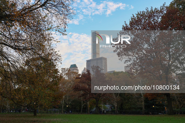 People are enjoying a fall day in the Sheep Meadow in Central Park, taking pleasure in the autumn weather in New York City, New York, on Nov...