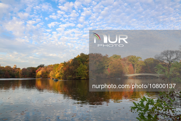 People are enjoying a boat ride on The Lake amidst the autumn leaves in Central Park, taking pleasure in the fall weather in New York City,...