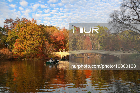 People are taking photos on the Oak Bridge in Central Park while enjoying the fall weather in New York City, New York, on November 6, 2023. 