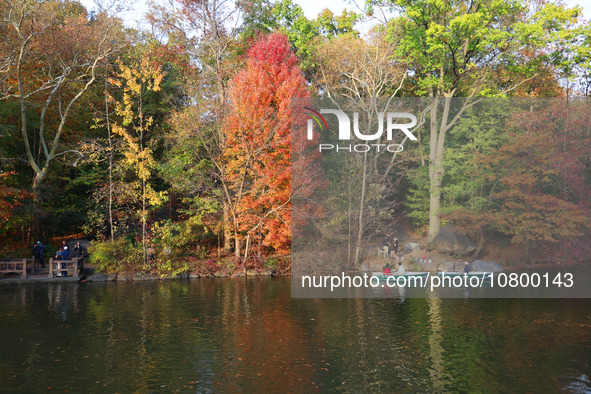 People are enjoying a boat ride on The Lake amidst the autumn leaves in Central Park, taking pleasure in the fall weather in New York City,...