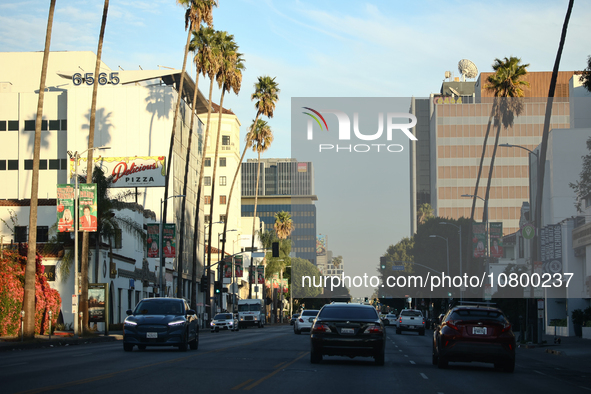 A view of the Sunset Boulevard in Los Angeles, United States on November 13, 2023. 