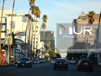 A view of the Sunset Boulevard in Los Angeles, United States on November 13, 2023. (