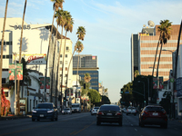 A view of the Sunset Boulevard in Los Angeles, United States on November 13, 2023. (