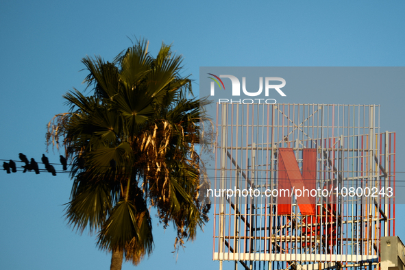 Netflix logo is seen on the building in Los Angeles, United States on November 13, 2023. 