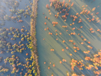 NANJING, CHINA - NOVEMBER 21, 2023 - Photo taken on Nov 21, 2023 shows the colorful Taxodium ascendens forest in Taxodium ascendens Lake Nat...