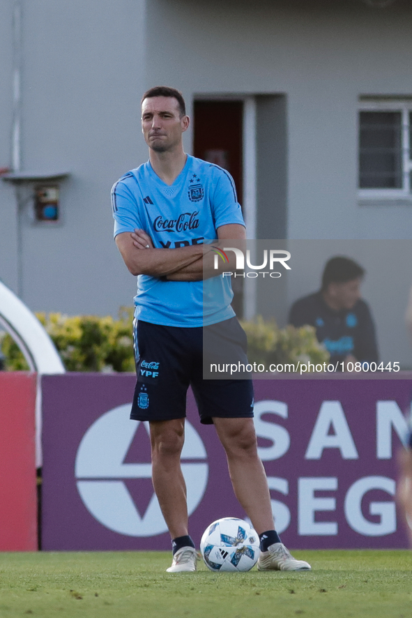 Argentina's coach Lionel Scaloni during a training session at 'Lionel Andres Messi' Training Camp on November 14, 2023 in Ezeiza, Argentina....