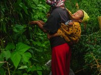 Nurhalimah Br Sembiring Milala, 33, is seen working with her two-year-old child, Gloria Br Ginting, on her plantation in Gamber Village, Sim...