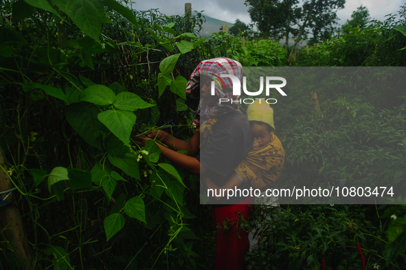 Nurhalimah Br Sembiring Milala, 33, is seen working with her two-year-old child, Gloria Br Ginting, on her plantation in Gamber Village, Sim...