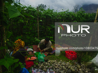 The indigenous Karo family, with Tampai Ginting, age 43, his wife Nurhalimah Br Sembiring Milala, age 33, and their children, Gebri Br Ginti...