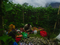 The indigenous Karo family, with Tampai Ginting, age 43, his wife Nurhalimah Br Sembiring Milala, age 33, and their children, Gebri Br Ginti...