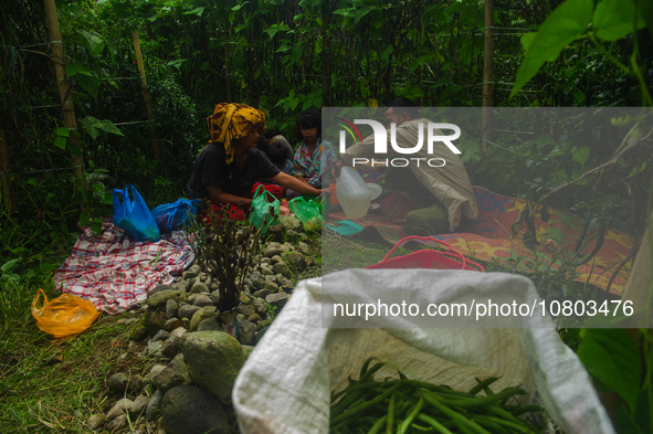 The indigenous Karo family, with Tampai Ginting, age 43, his wife Nurhalimah Br Sembiring Milala, age 33, and their children, Gebri Br Ginti...