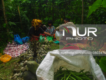 The indigenous Karo family, with Tampai Ginting, age 43, his wife Nurhalimah Br Sembiring Milala, age 33, and their children, Gebri Br Ginti...