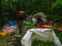 The indigenous Karo family, with Tampai Ginting, age 43, his wife Nurhalimah Br Sembiring Milala, age 33, and their children, Gebri Br Ginti...