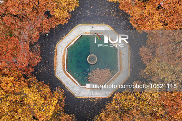 An aerial photo is showing the view of Wutong Avenue at the Sipai Lou Campus of Southeast University in Nanjing, Jiangsu Province, China, on...