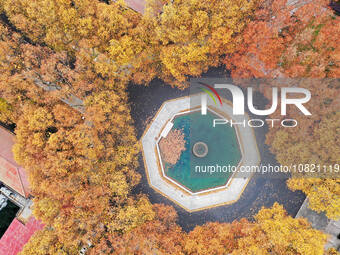 An aerial photo is showing the view of Wutong Avenue at the Sipai Lou Campus of Southeast University in Nanjing, Jiangsu Province, China, on...