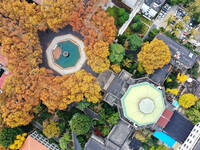 An aerial photo is showing the view of Wutong Avenue at the Sipai Lou Campus of Southeast University in Nanjing, Jiangsu Province, China, on...