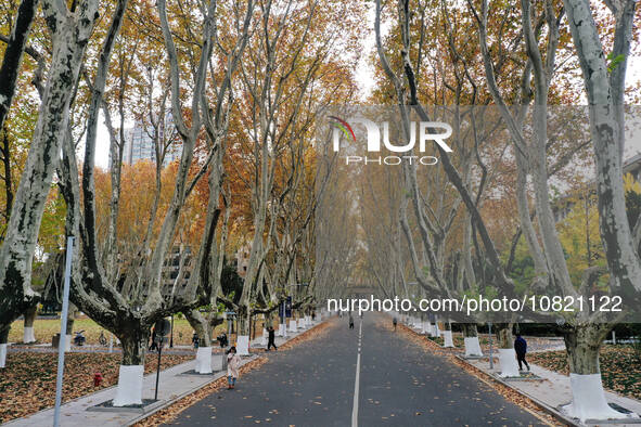 An aerial photo is showing the view of Wutong Avenue at the Sipai Lou Campus of Southeast University in Nanjing, Jiangsu Province, China, on...