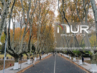 An aerial photo is showing the view of Wutong Avenue at the Sipai Lou Campus of Southeast University in Nanjing, Jiangsu Province, China, on...