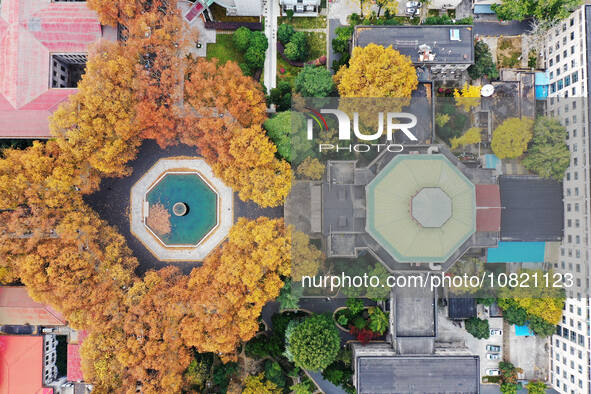 An aerial photo is showing the view of Wutong Avenue at the Sipai Lou Campus of Southeast University in Nanjing, Jiangsu Province, China, on...