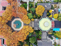 An aerial photo is showing the view of Wutong Avenue at the Sipai Lou Campus of Southeast University in Nanjing, Jiangsu Province, China, on...