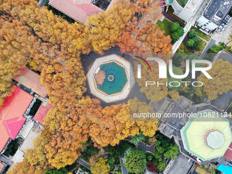 An aerial photo is showing the view of Wutong Avenue at the Sipai Lou Campus of Southeast University in Nanjing, Jiangsu Province, China, on...