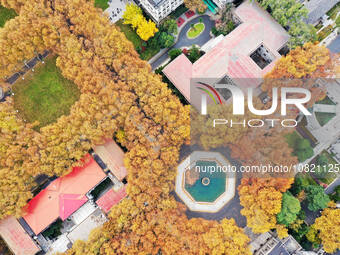 An aerial photo is showing the view of Wutong Avenue at the Sipai Lou Campus of Southeast University in Nanjing, Jiangsu Province, China, on...