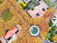 An aerial photo is showing the view of Wutong Avenue at the Sipai Lou Campus of Southeast University in Nanjing, Jiangsu Province, China, on...