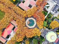 An aerial photo is showing the view of Wutong Avenue at the Sipai Lou Campus of Southeast University in Nanjing, Jiangsu Province, China, on...