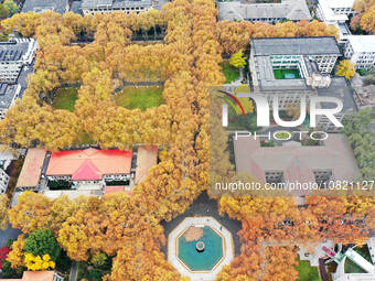 An aerial photo is showing the view of Wutong Avenue at the Sipai Lou Campus of Southeast University in Nanjing, Jiangsu Province, China, on...