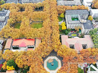 An aerial photo is showing the view of Wutong Avenue at the Sipai Lou Campus of Southeast University in Nanjing, Jiangsu Province, China, on...