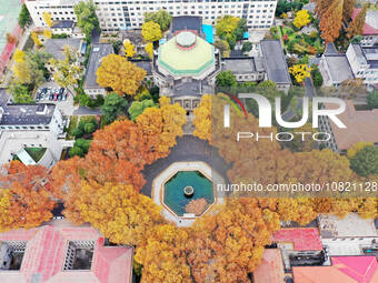 An aerial photo is showing the view of Wutong Avenue at the Sipai Lou Campus of Southeast University in Nanjing, Jiangsu Province, China, on...