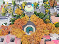 An aerial photo is showing the view of Wutong Avenue at the Sipai Lou Campus of Southeast University in Nanjing, Jiangsu Province, China, on...