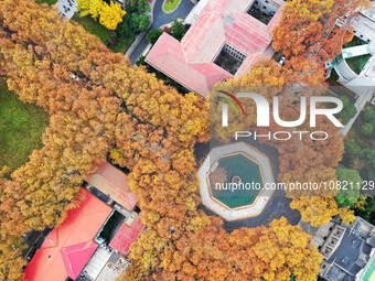 An aerial photo is showing the view of Wutong Avenue at the Sipai Lou Campus of Southeast University in Nanjing, Jiangsu Province, China, on...