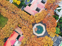 An aerial photo is showing the view of Wutong Avenue at the Sipai Lou Campus of Southeast University in Nanjing, Jiangsu Province, China, on...