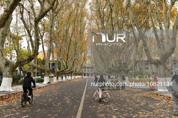 An aerial photo is showing the view of Wutong Avenue at the Sipai Lou Campus of Southeast University in Nanjing, Jiangsu Province, China, on...