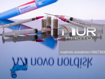 The Novo Nordisk pharmaceutical logo is being displayed on a screen alongside pills and a medical vial with a syringe in this photo illustra...