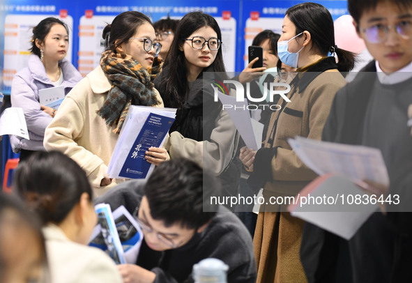 College student job seekers are communicating with representatives of employers at a college employment fair in Fuyang, Anhui Province, Chin...