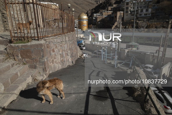 The holy shrine is seen in the flooded village of Imamzadeh Davood, in the northwestern part of Tehran, on December 8, 2023, more than one y...