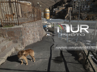 The holy shrine is seen in the flooded village of Imamzadeh Davood, in the northwestern part of Tehran, on December 8, 2023, more than one y...