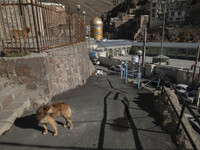 The holy shrine is seen in the flooded village of Imamzadeh Davood, in the northwestern part of Tehran, on December 8, 2023, more than one y...